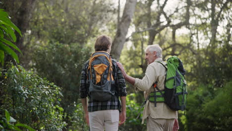 two men hiking in the forest with backpacks