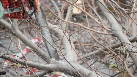 chainsaw cutting branches