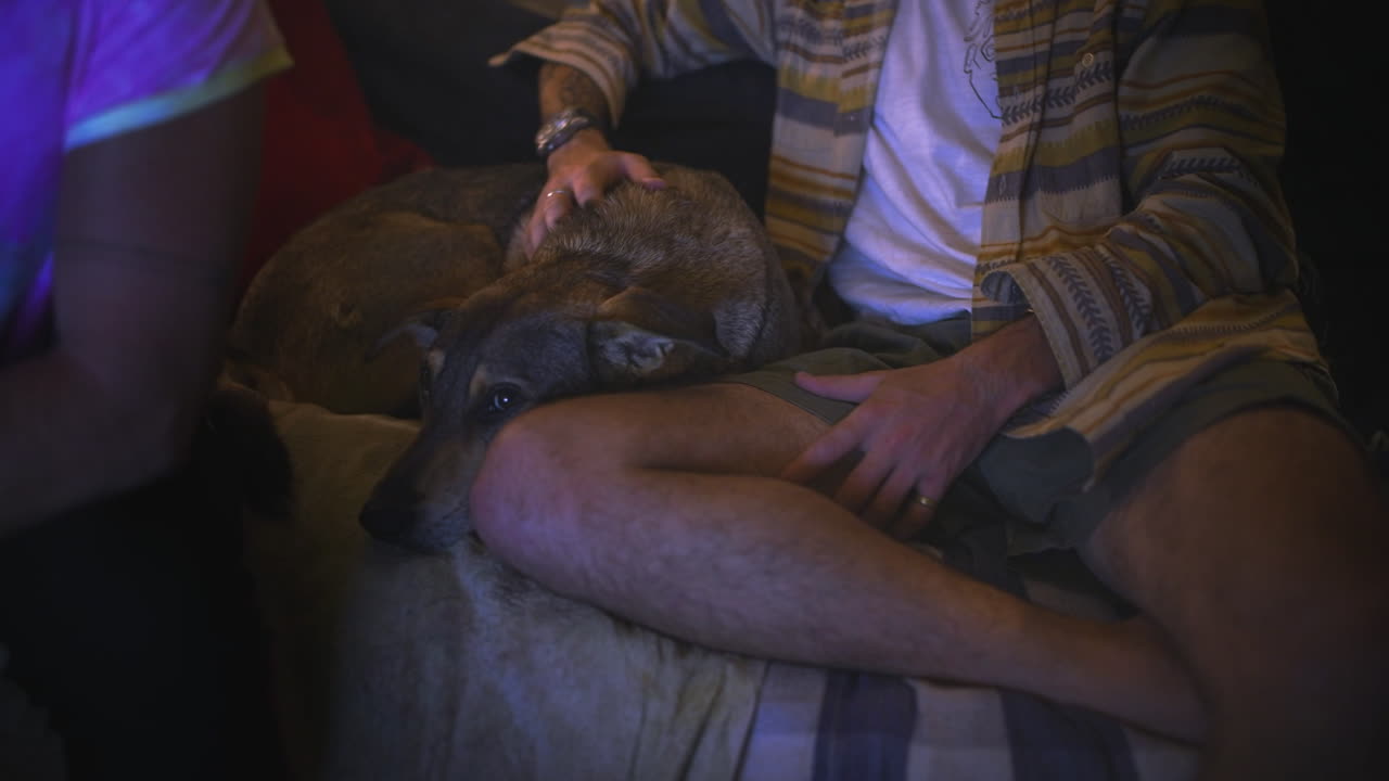 Dogs will always be man's best friend