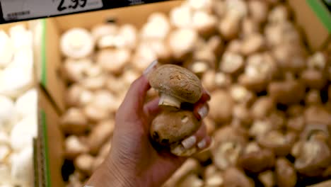 a hand selects cremini mushrooms from a supermarket display under warm lighting, highlighting texture and freshness