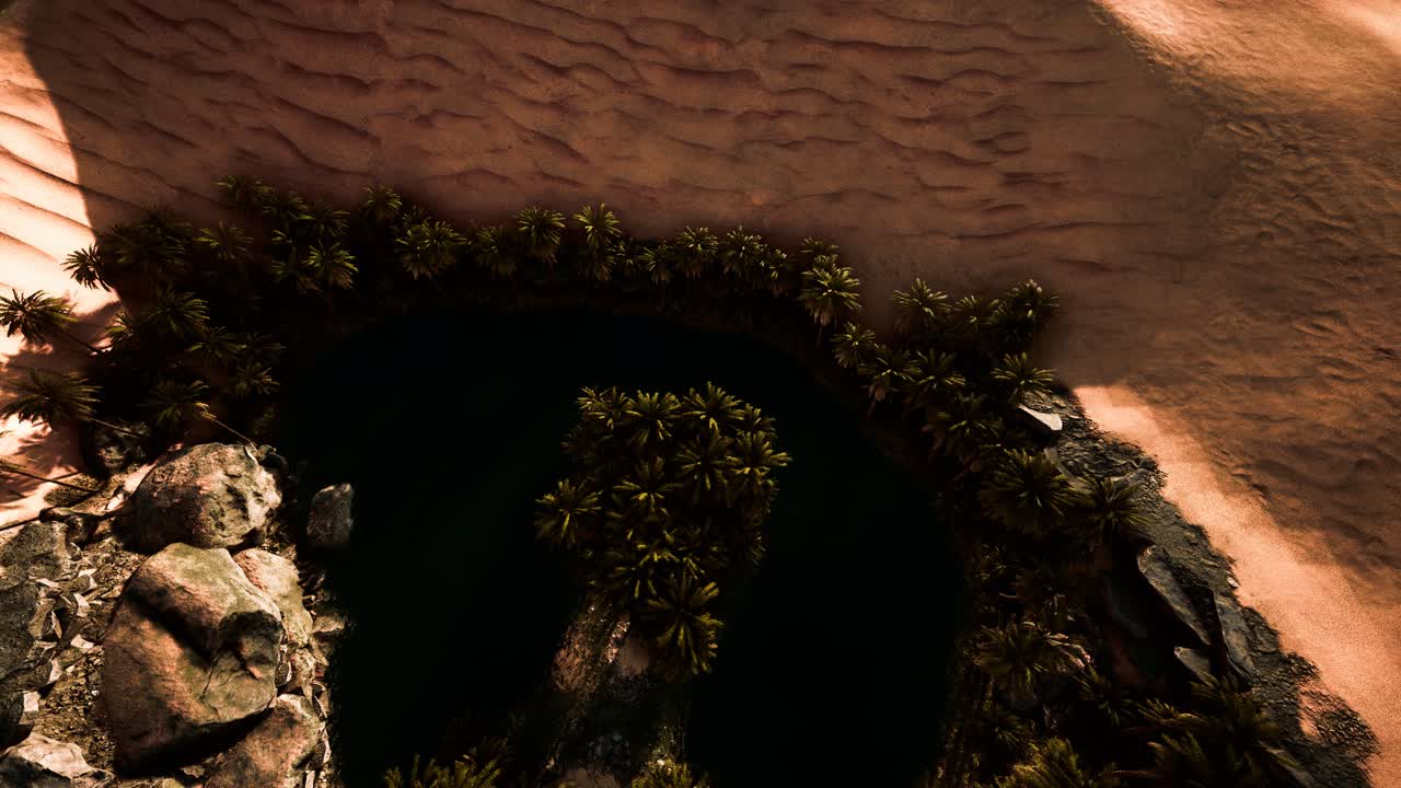 vista aérea de arriba hacia abajo de un oasis en el desierto