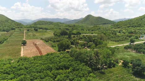 Toma-Aérea-De-La-Granja-De-Piña-Toma-Aérea-De-La-Plantación-De-Piña-4k-50fps-Filmada-En-Dji-Pt4