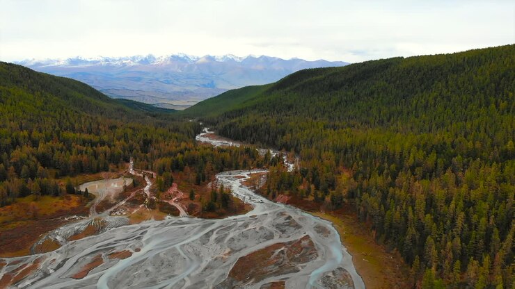 Vista aerea di una vallata fluviale con montagne e foresta