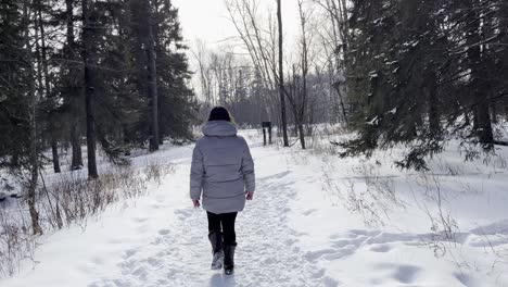 Frau,-Die-Draußen-In-Der-Natur-Auf-Einer-Winterwonderland-landschaft-Spazieren-Geht,-Reise