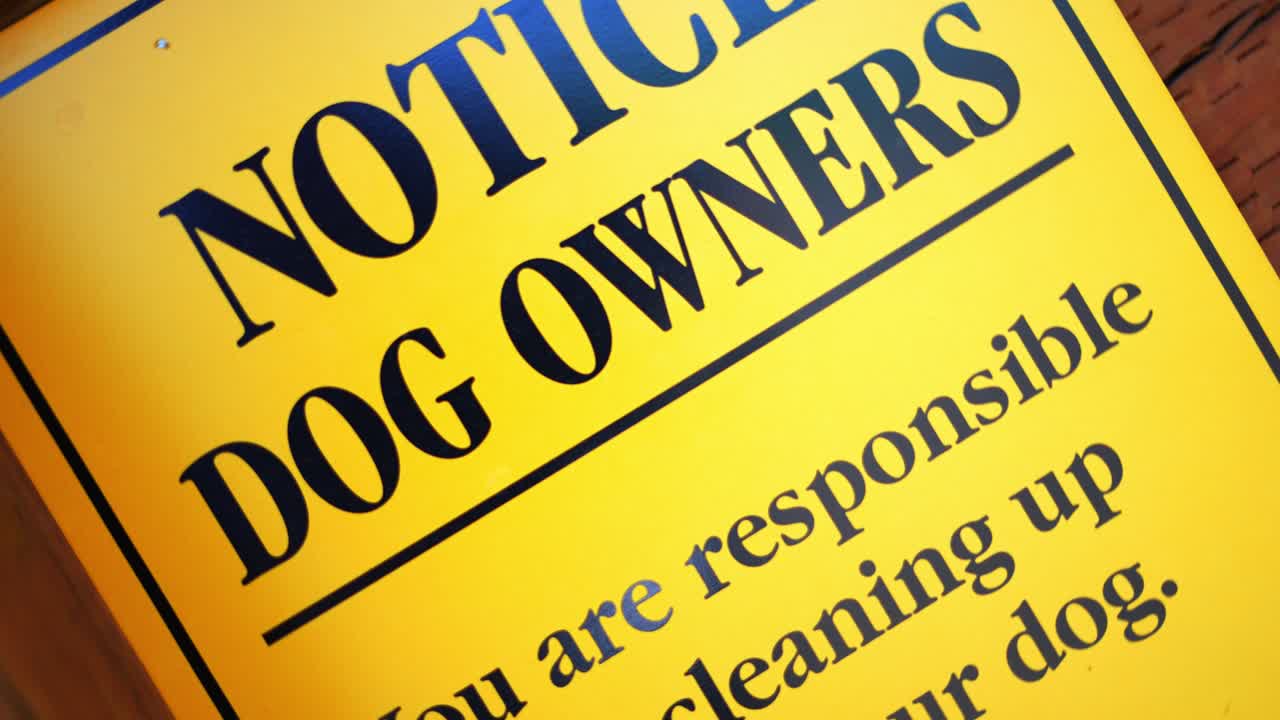 공공 공원 하이킹 트레일에서 애완 동물의 밝은 노란색 표지판, 배럴 롤 트위스트, 마지막에 뒤로 물러난 후 청소할 책임이 있는 개 소유자에게 배럴 롤링 통지