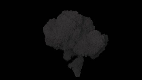 una enorme explosión con un espeso humo negro. una explosión de humo negro, una explotión de bomba y humo real. animación vfx frente a la pantalla verde.