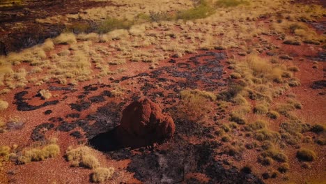 drone aéreo orbitando alrededor del hormiguero de termitas del desierto australiano después de un incendio forestal