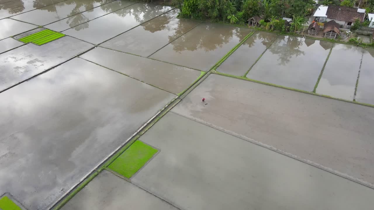 조감도, 논밭에서 일하는 농부들이 쌀을 심기 위해 땅을 준비하는 과정