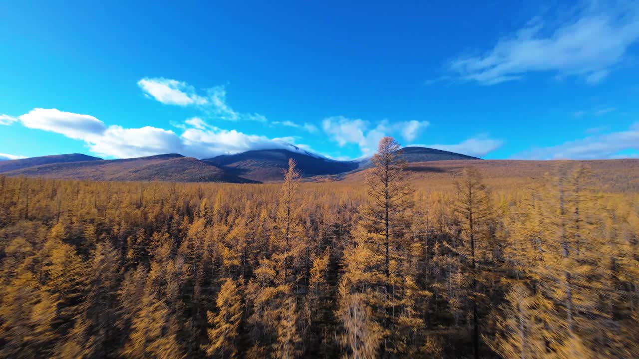 Ammira la straordinaria trasformazione delle foreste mentre i vivaci colori autunnali ricoprono il paesaggio, incorniciato da montagne imponenti. Questa esperienza immersiva cattura la bellezza della natura dall'alto