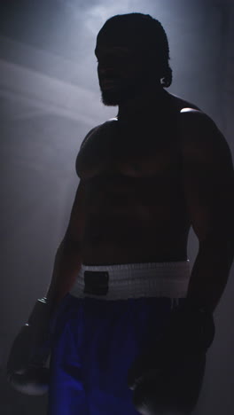 vertikales video-studio-shoot mit niedriger schlüssellichtung eines silhouettenförmigen boxers, der bereit ist zu kämpfen und in einem lichtbecken im boxring steht