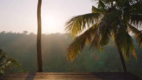 Hermosa-Vista-De-Palmeras-Tropicales-De-La-Selva-Al-Amanecer-Desde-La-Cubierta-Destino-De-Vacaciones-Escénico-Para-Viajes-De-Vacaciones-De-Verano-4k