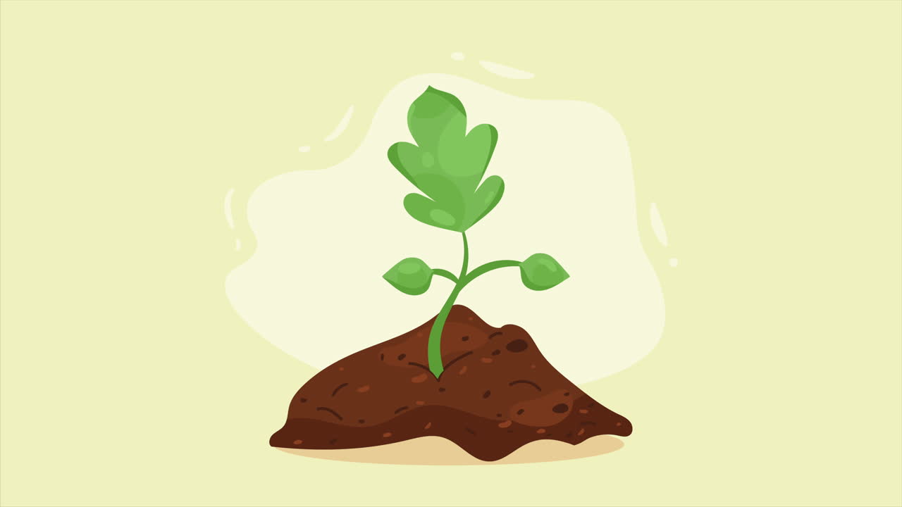 Sprout in Soil