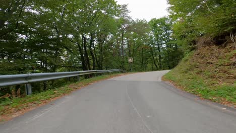 Pov-Shot-Fahrt-Durch-Wald-Wald