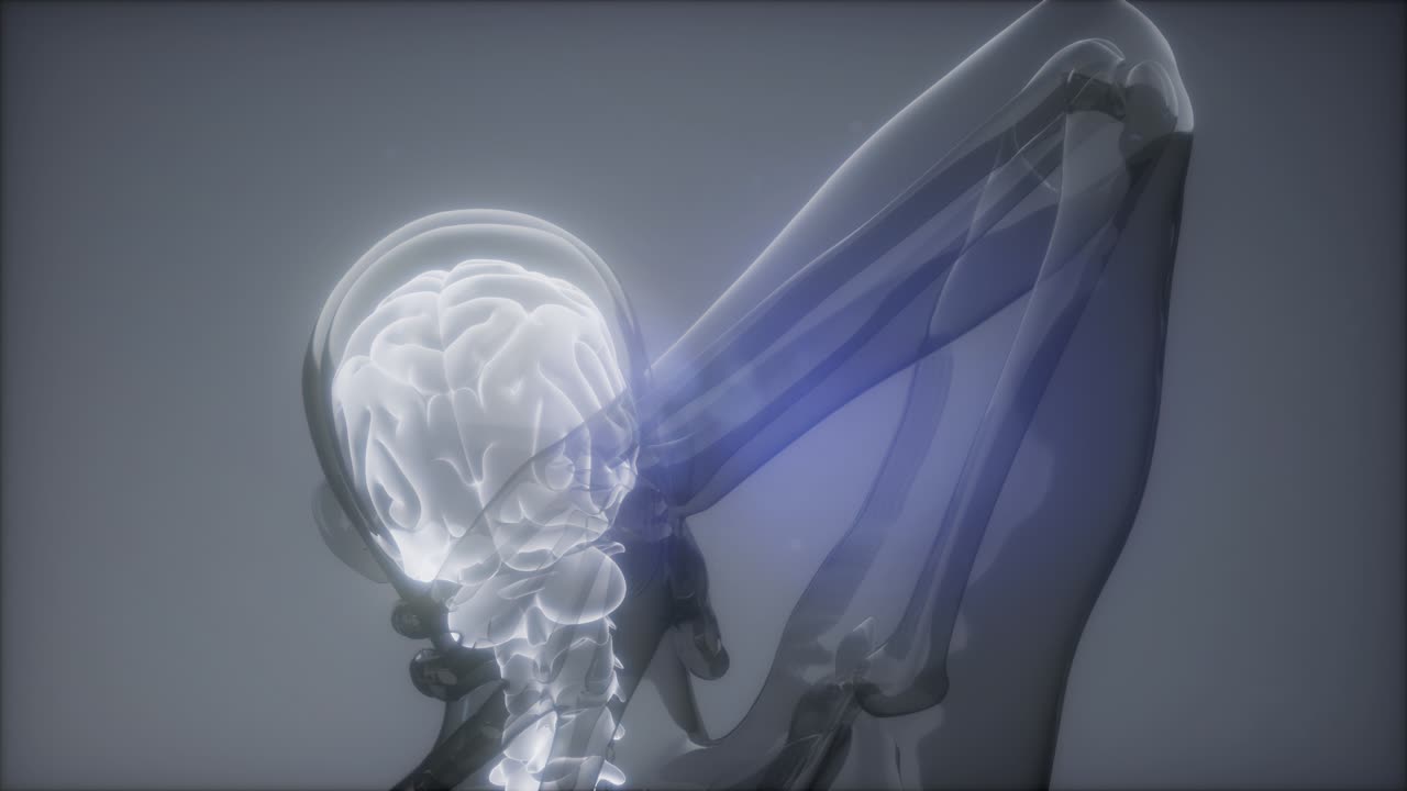 боль в спине