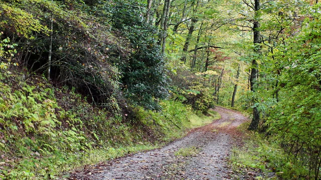 Walking down a dirt path in the mountains of North Carolina,