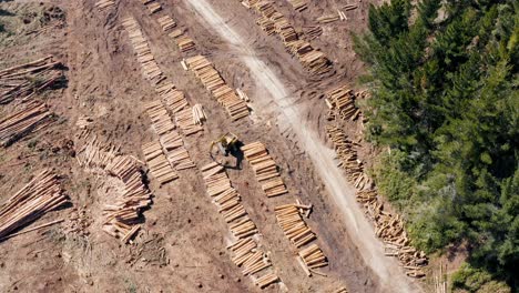 Máquina-Pesada-Apilando-Troncos-De-Madera-En-Pilas-De-Madera-En-El-área-De-Tala,-Concepto-De-Industria-Maderera,-Antena