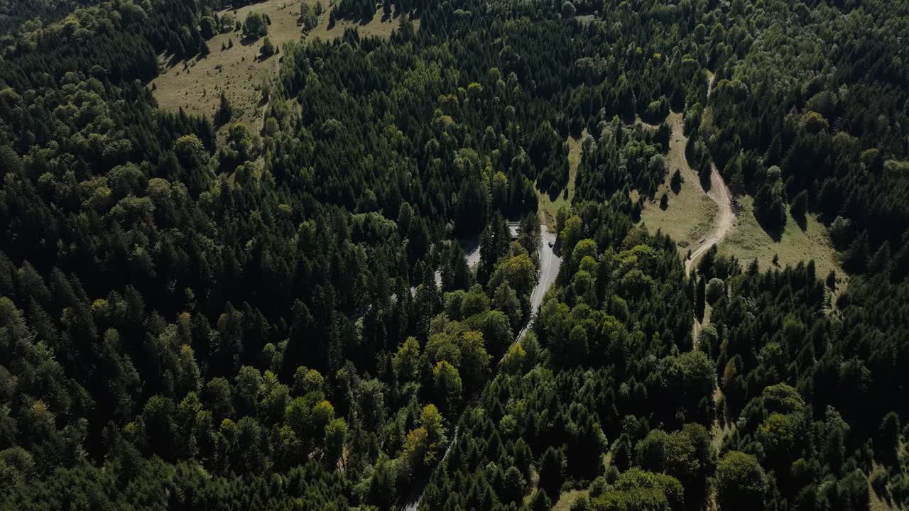 Winding mountain road cutting through a dense green forest, cars driving on it, aerial shot