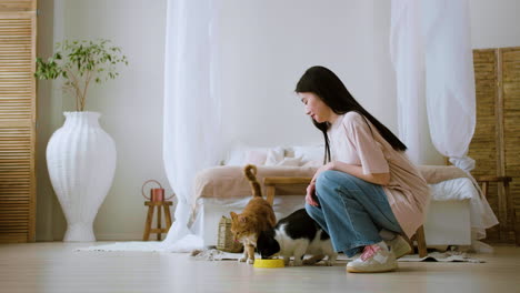 woman feeding cats