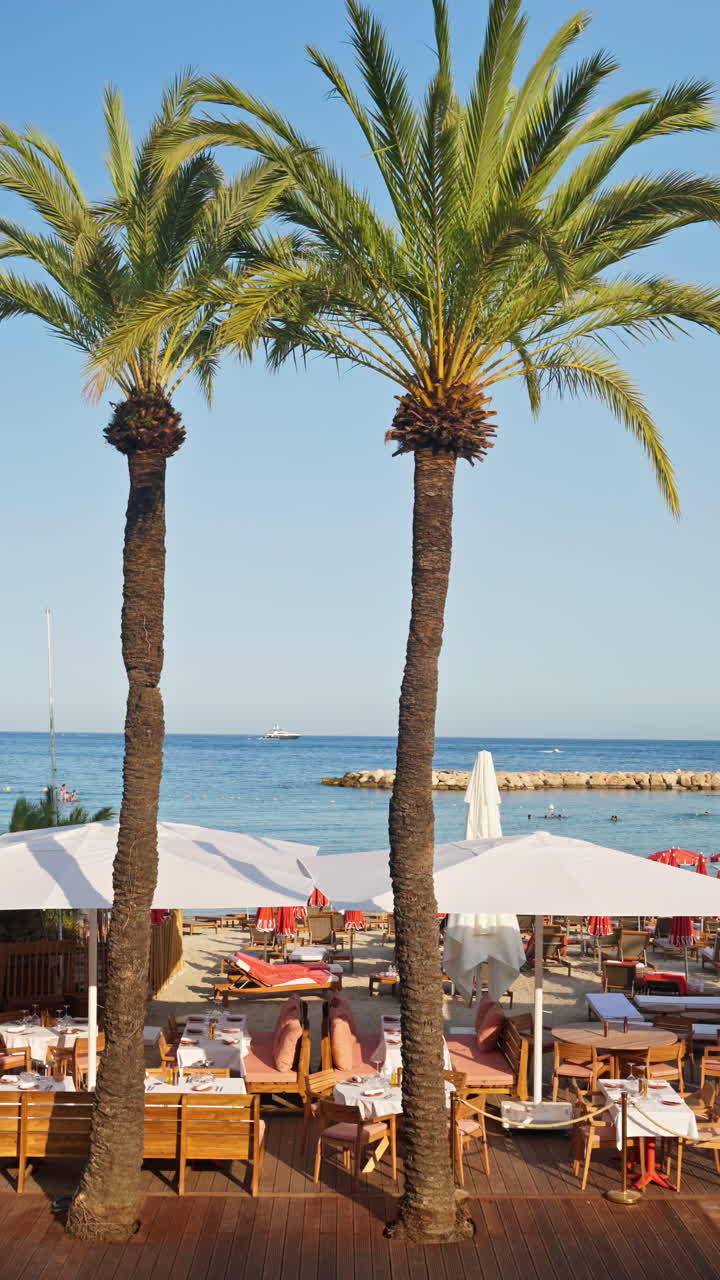 Palm trees near a restaurant on the beach in Menton, France