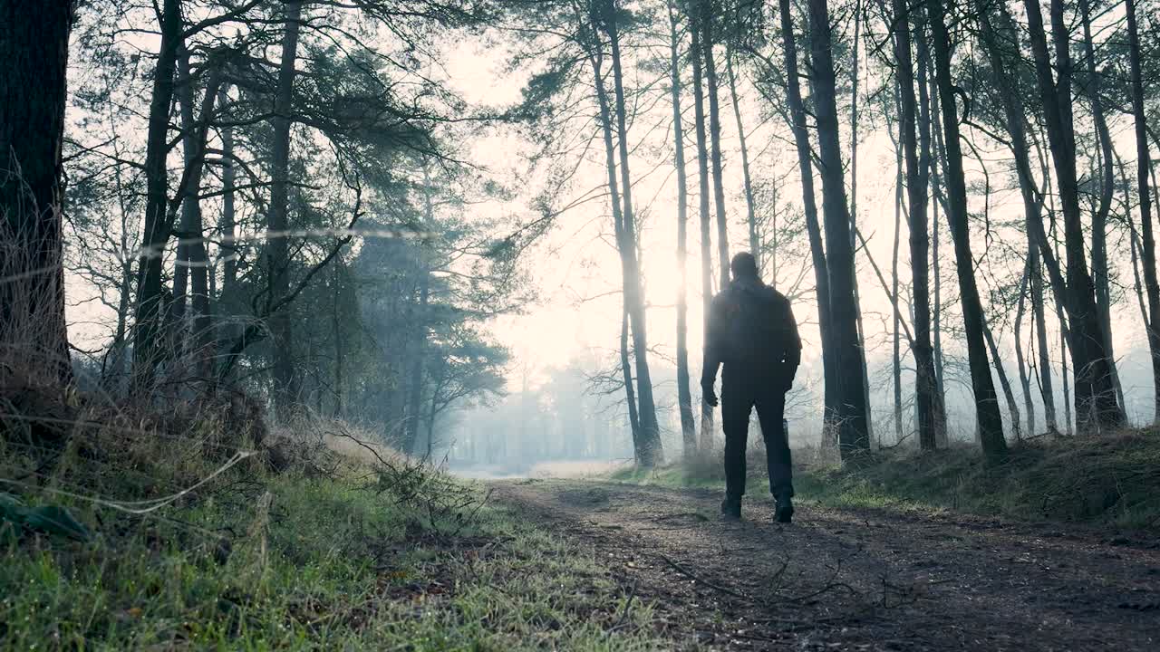 안개 숲을 고 있는 남자