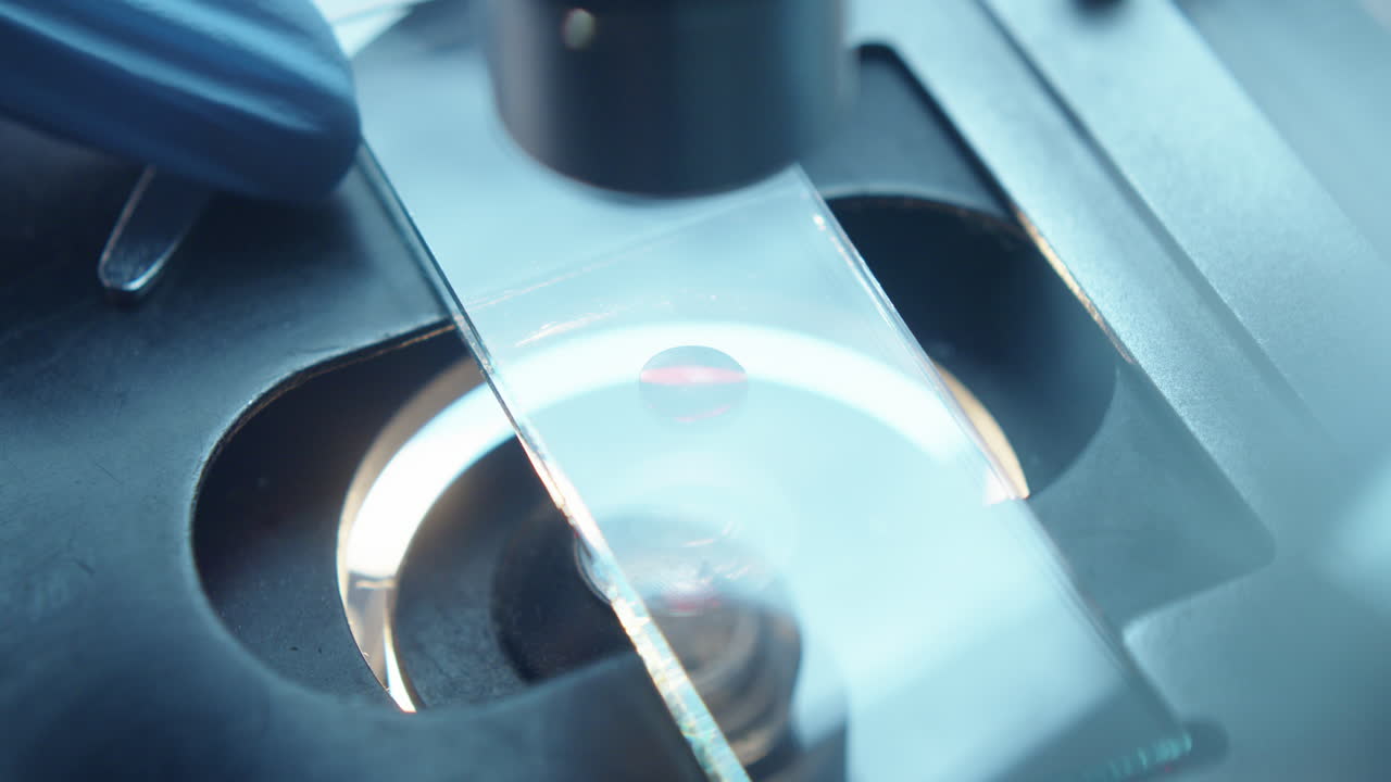 Preparing Blood Sample on Glass Slide for Microscopic Examination