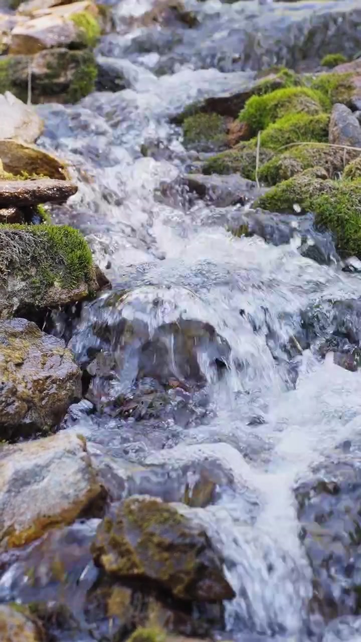 Acqua limpida scorre su pietre muschiose. Acqua calma e fresca scorre attraverso un terreno roccioso. Muschio verde si aggrappa a ogni pietra. Il ritmo tranquillo della natura è pacifico e rilassante. Perfetto per la natura, il relax.