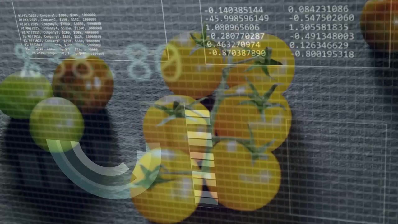 Klase med gule cherrytomater gjennomgår matskanning, HUD falmer, samler inn data og plotter kakediagram.