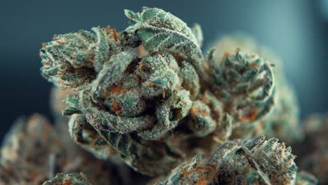 A-macro-close-up-cinematic-shot-of-a-cannabis-plant,-marijuana-flower,-hybrid-strains,-Indica-and-sativa,-on-a-360-rotating-stand-in-a-shiny-bowl,-120-fps-slow-motion-Full-HD,-studio-lighting