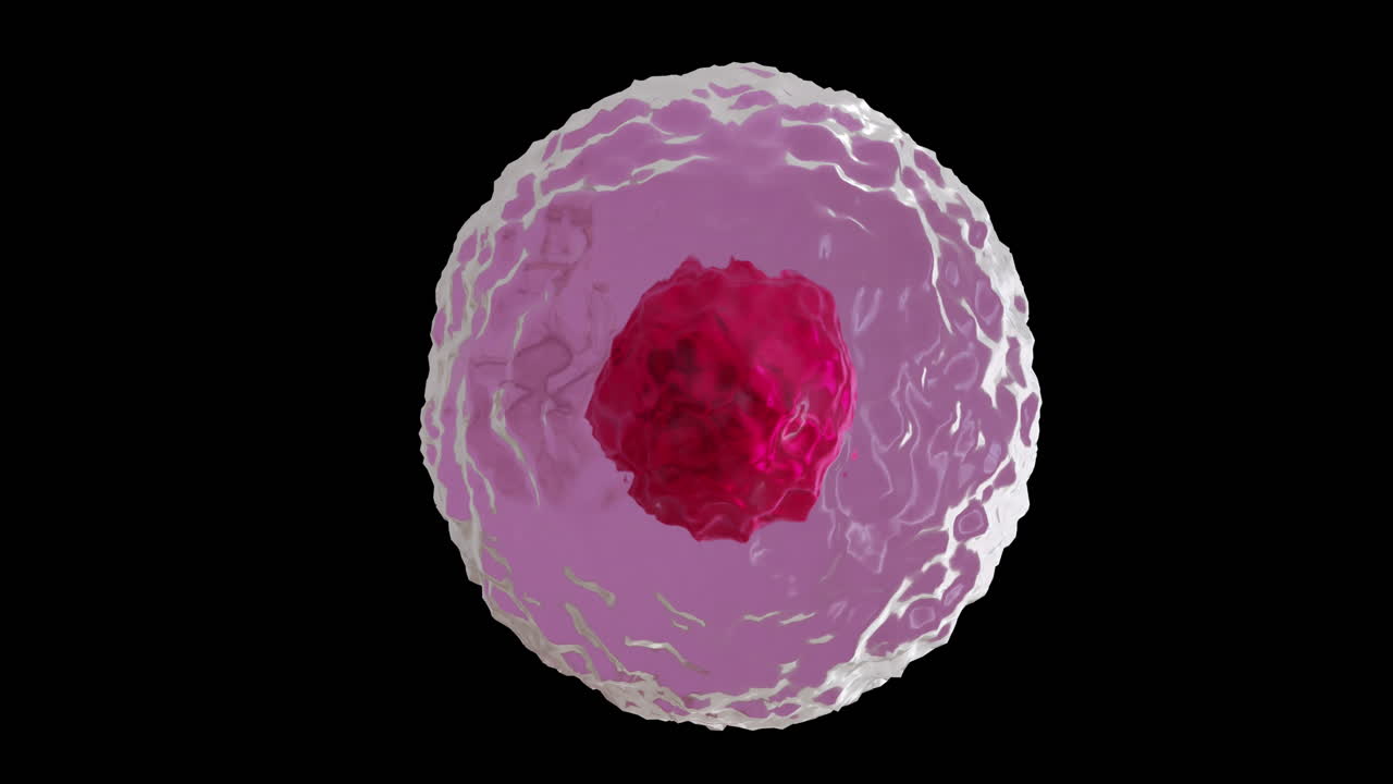 animación de micro de célula roja y rosa sobre fondo negro