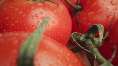 Verkleinern-Sie-Das-Makrovideo-Von-Frischen-Tomaten