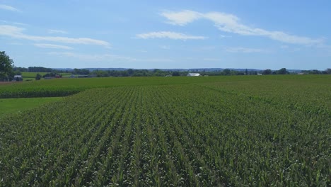 An-Aerial-Close-Up-View-of-Amish-Farmlands-and-Countryside-with-Corn-Fields-on-a-Sunny-Summer-Day