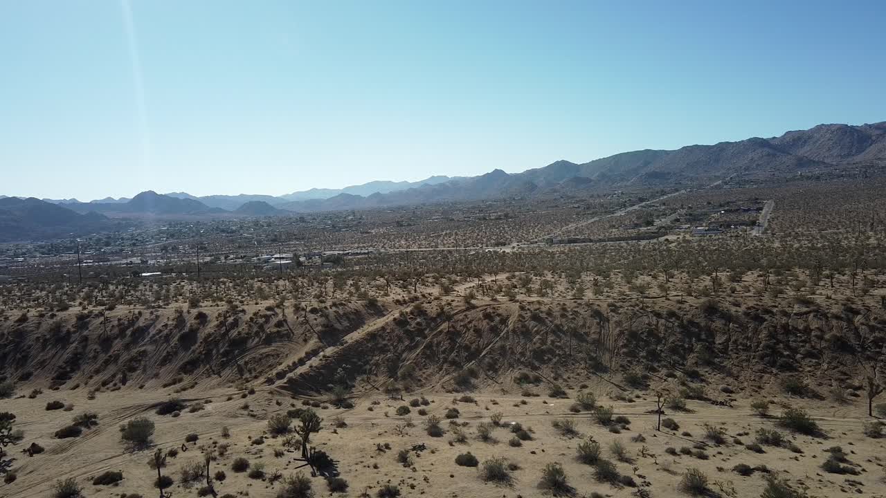 parque nacional súper amplio de árboles verdes de joshua, hermosas montañas en el fondo, california