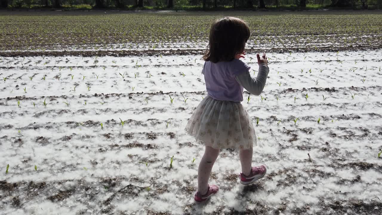 en primavera, una joven de cabello castaño con camisa violeta y falda de tul blanca cruza un campo abierto en el campo de milán, italia, que está cubierto de flores blancas y polen de álamos