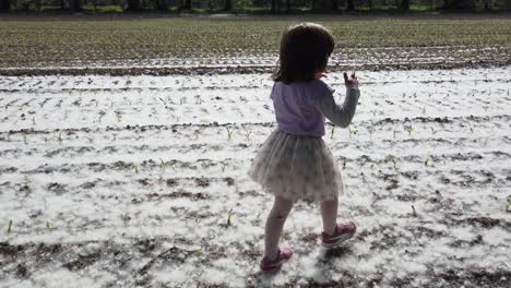 in springtime young girl brown haired with violet shirt and white tulle skirt crossing an open field in countryside of milan italy which is covered by white blossoms and pollens from poplar trees