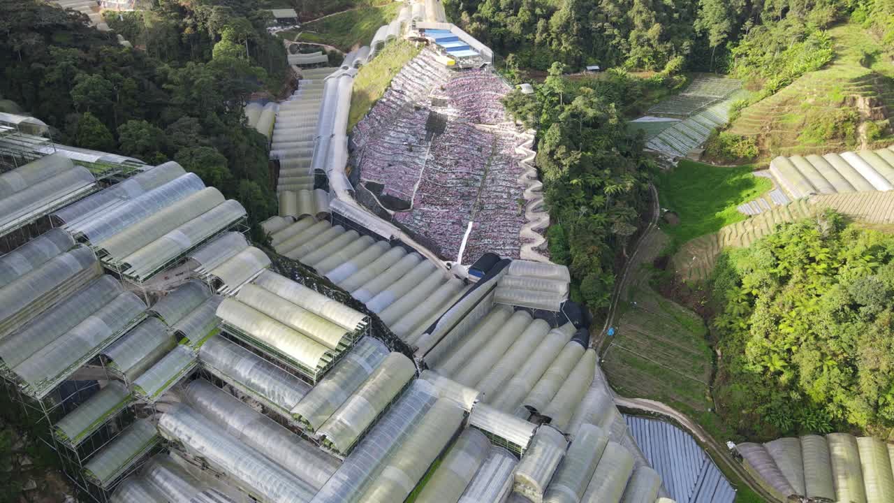 말레이시아의 카메론 하이랜드 지역 내의 브린창 지역의 일반 풍경