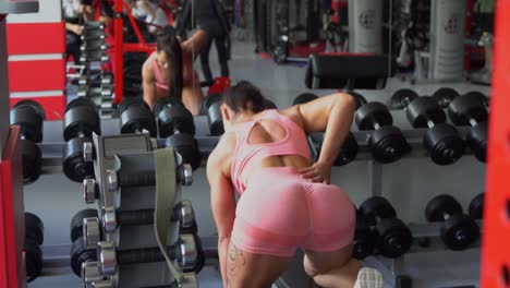 muscular young woman with beautiful body doing exercises with dumbbell. sporty girl lifting weights in gym