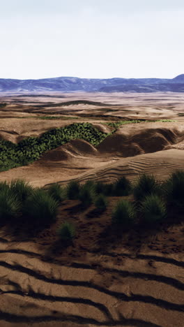 desert landscape with sand dunes and green grass