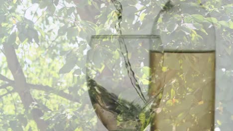 animation of white wine pouring into glass on background with trees