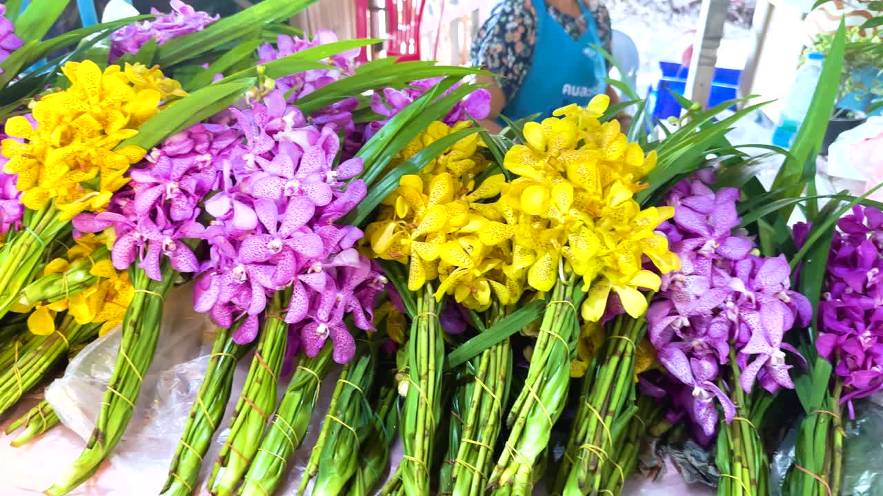 orquídeas de colores para la venta en un mercado