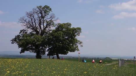 a lot of cyclists riding a bike in southern moravia in a beautiful green landscape with a tree and signpost