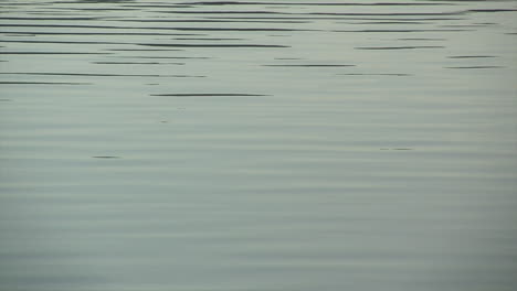 linear ripples on lake surface reflecting overcast sky