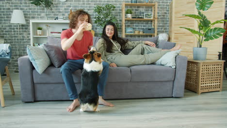 couple playing with a dog