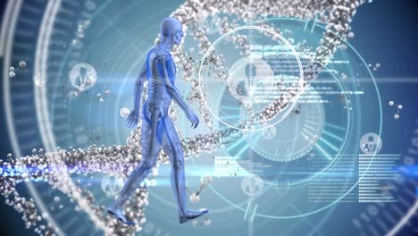 animation of dna strand and digital human over scope scanning with data processing