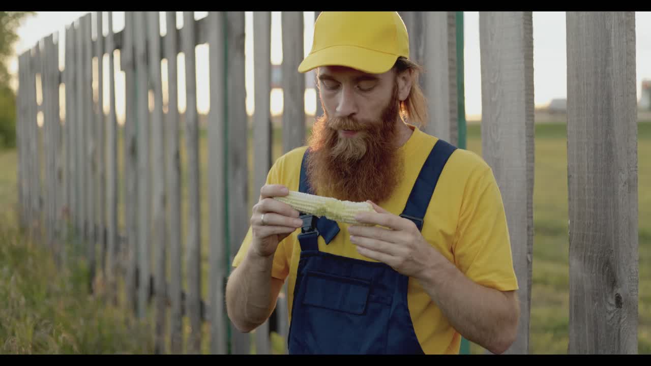Man Eating Corn by a Fence at Sunset