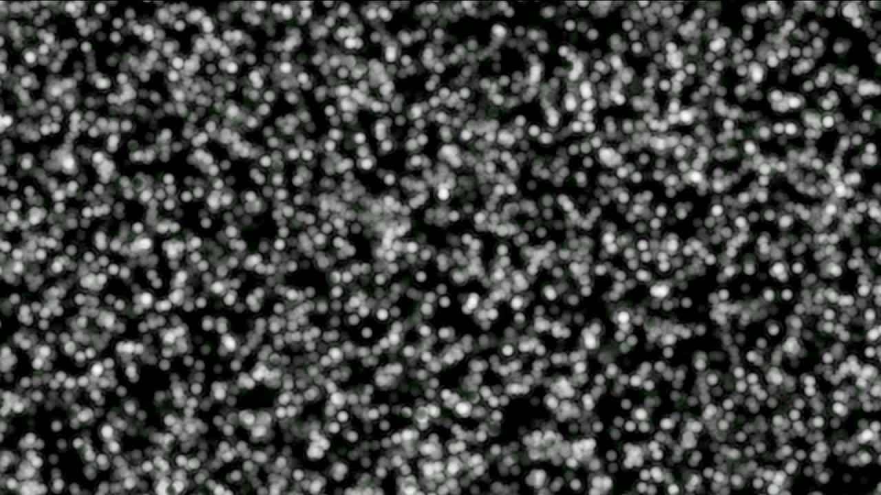 célula blanca con un punto 4k