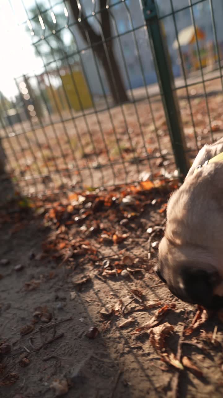 en un parque en un día de otoño