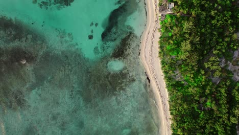 Toma-Aérea-De-Seguimiento-De-Arriba-Hacia-Abajo-De-La-Playa-Entre-El-Océano-Turquesa-Y-El-Bosque-Verde