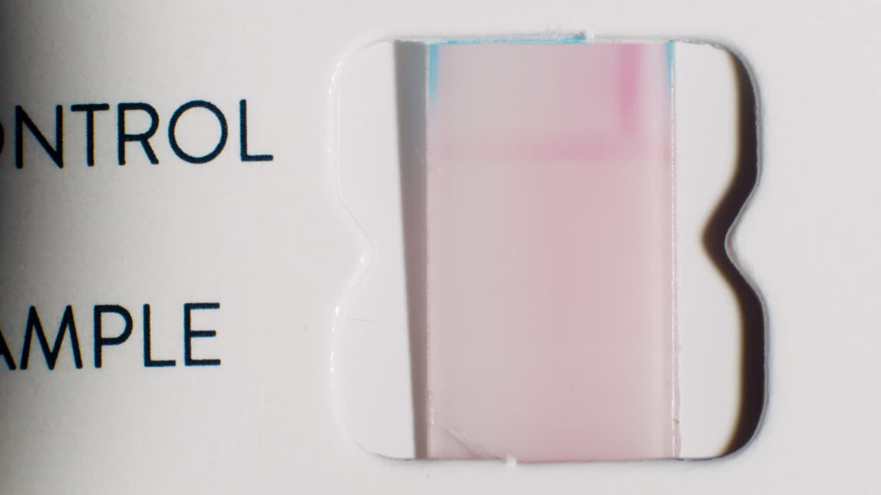 primer plano macro de prueba casera covid-19 con resultados negativos en lapso de tiempo