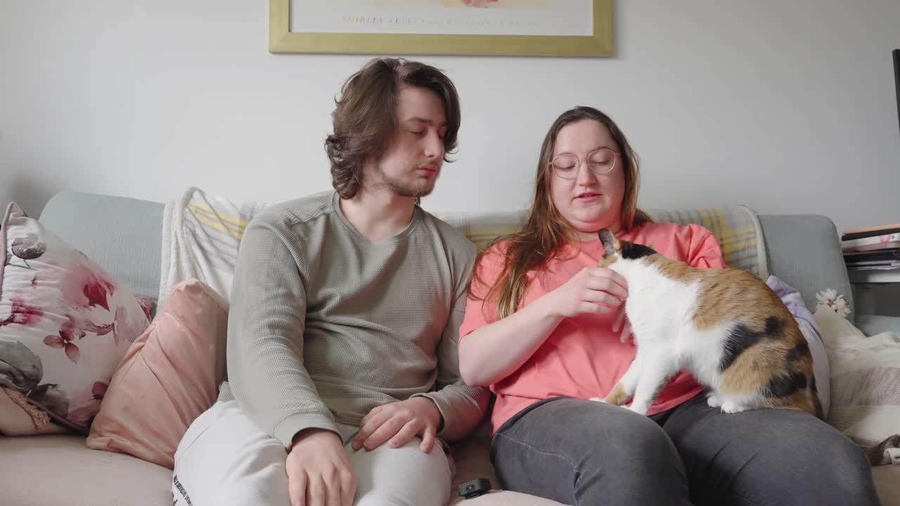 집 아파트에서 귀여운 커플, 길들여진 애완동물 새끼 고양이, 느린 동작