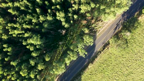 Panorama-rural-road-landscape